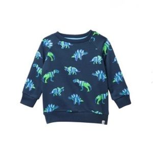 Bryson Printed Dinosaur Sweatshirt